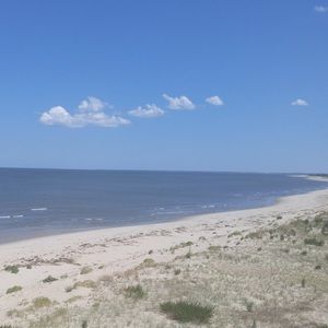 Meet your Posher, Barett